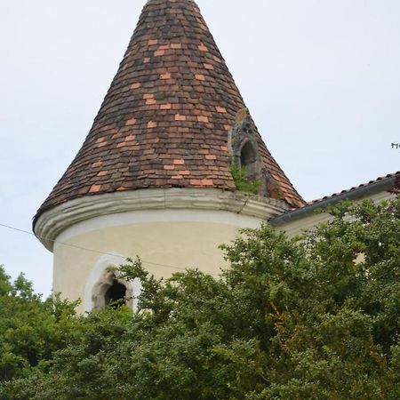 Chambres D'Hotes Du Chateau De Saint Sulpice La Sauvetat-sur-Lède Exteriér fotografie