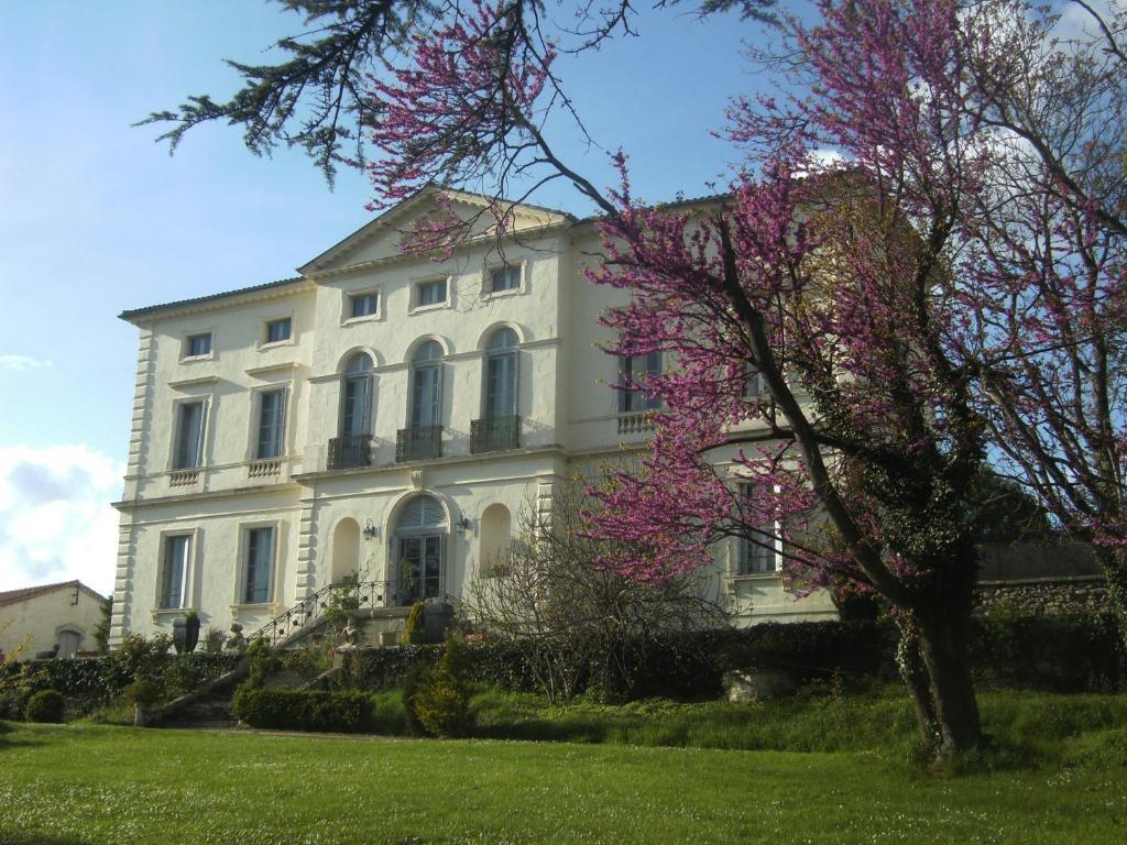 Chambres D'Hotes Du Chateau De Saint Sulpice La Sauvetat-sur-Lède Exteriér fotografie